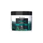 VISPLANTIS LOTON MASCARILLA ALGAS CABELLO GRASO 400ML