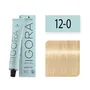 SCHWARZKOPF TINTE IGORA ROYAL HIGHLIFTS 12-0 SUPERACLARANTE NATURAL 60ML