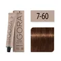 SCHWARZKOPF TINTE IGORA ROYAL ABSOLUTES 7-60 RUBIO MEDIO CHOCOLATE NATURAL 60ML