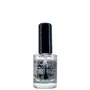 DILANI'S TOP COAT Nº 41 10ML