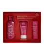 WELLA PACK ULTIMATE REPAIR